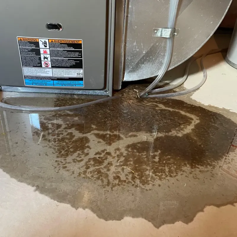 Appliance Leak Cleanup in Scissors, TX